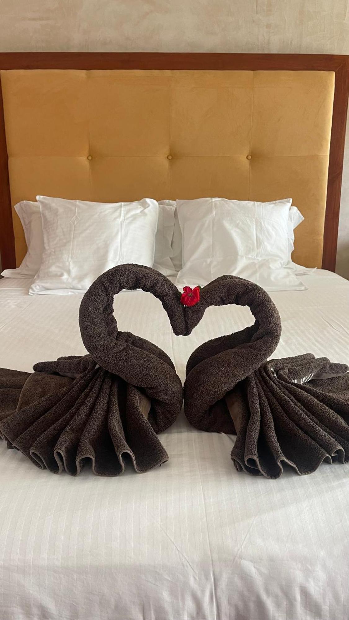 B&B Les 4 Mondes Vieux-Boucau-les-Bains Ngoại thất bức ảnh